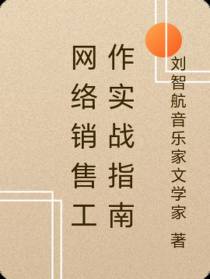 网络销售工作实战指南
