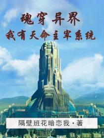 魂穿异界：我有天命主宰系统
