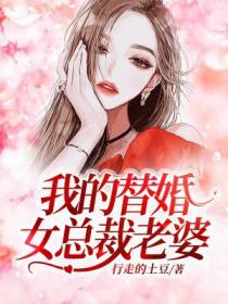 我的替婚女总裁老婆