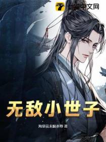 无敌小世子