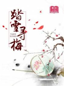 踏雪寻梅