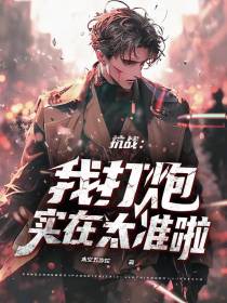 抗战：我打炮实在太准啦