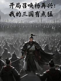 开局召唤杨再兴：我的三国有点猛