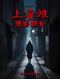 上海滩孤影探长