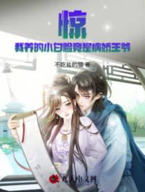 惊！我养的小白脸竟是病娇王爷