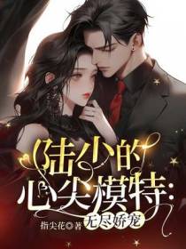 陆少的心尖模特：无尽娇宠