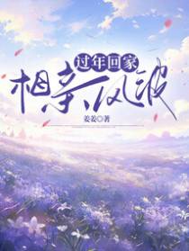 过年回家相亲风波