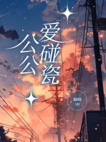 公公爱碰瓷