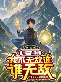 一境一金武，我不无敌谁无敌