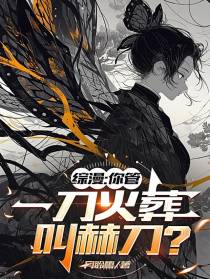 综漫：你管一刀火葬叫赫刀？