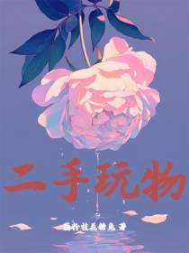 二手玩物