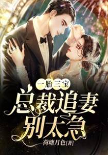 一胎三宝:总裁追妻别太急