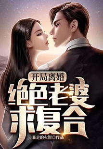 开局离婚，绝色老婆求复合