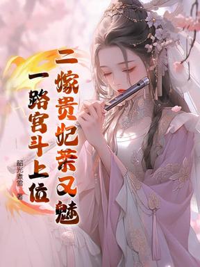 二嫁贵妃茶又魅，一路宫斗上位