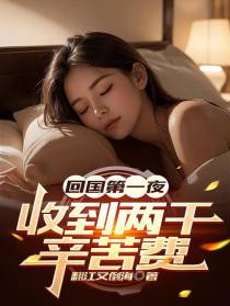 回国第一夜，收到两千辛苦费