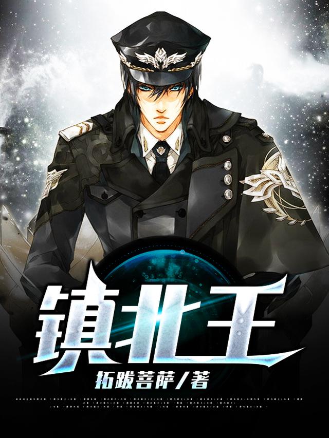 镇北王