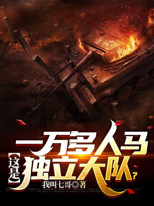 一万多人马，这是独立大队？