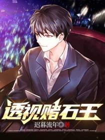 透视赌石王