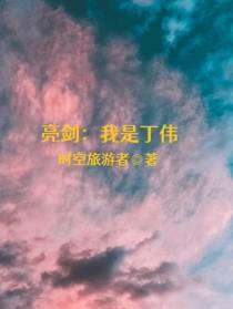亮剑：我是丁伟