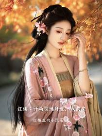 红楼：开局贾琏拜堂，我洞房
