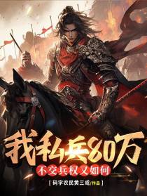 我，私兵80万，不交兵权又如何