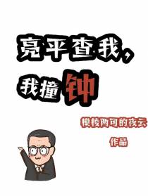 亮平查我，我撞钟