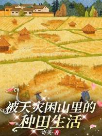 被天灾困山里的种田生活
