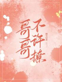 哥哥不许撩
