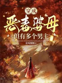 穿成恶毒婆母，但有多个男主
