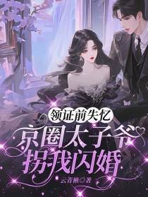领证前失忆，京圈太子爷拐我闪婚