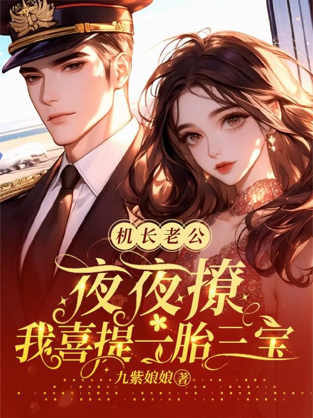 机长老公夜夜撩，我喜提一胎三宝