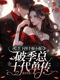 生下四个缩小版，破季总十代单传