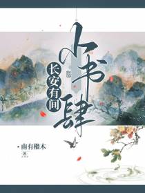 长安有间小书肆