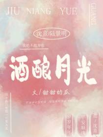 酒酿月光