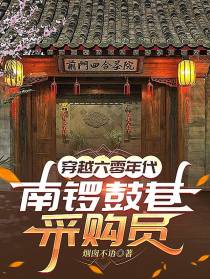 穿越六零年代，南锣鼓巷采购员