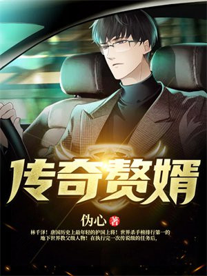 传奇赘婿