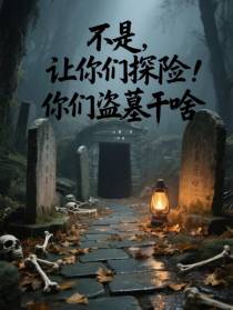 不是，让你们探险，你们盗墓干啥