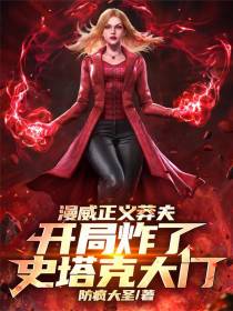 漫威正义莽夫开局炸了史塔克大门