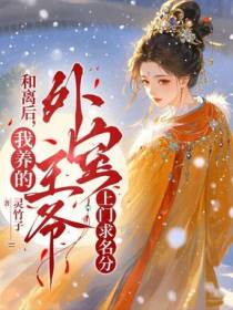 和离后，我养的外室王爷上门求名分