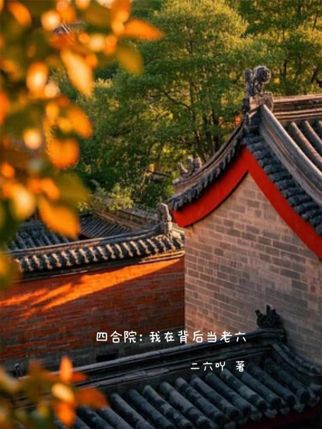 四合院：我在背后当老六