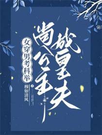 女穿男：考科举尚公主成皇夫