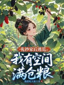 先抄家后逃荒，我有空间满仓粮
