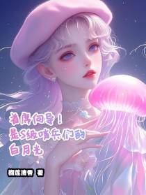 首席向导！是S级哨兵们的白月光