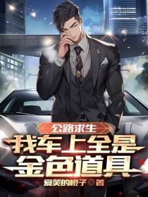 公路求生，我车上全是金色道具