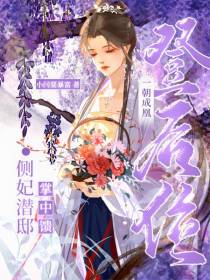 侧妃潜邸掌中馈，一朝成凰登后位
