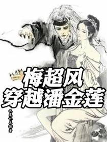 梅超风穿越潘金莲