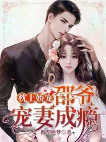 枕上娇宠：邵爷宠妻成瘾