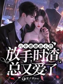 六年婚姻失望至极，她走后渣总却疯了