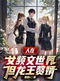 人在女频文世界，但龙王赘婿