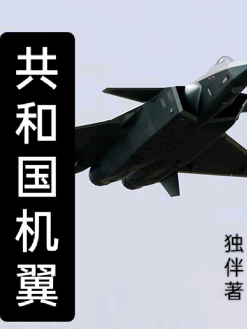 共和国机翼